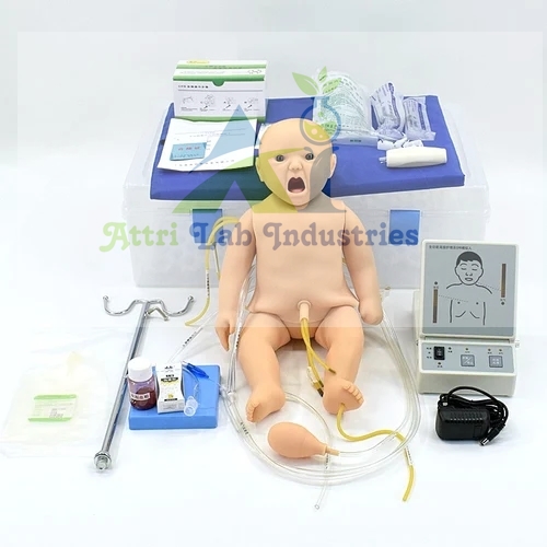 Nursing Lab Equipment & Nursing lab model supplier manufacturer in india