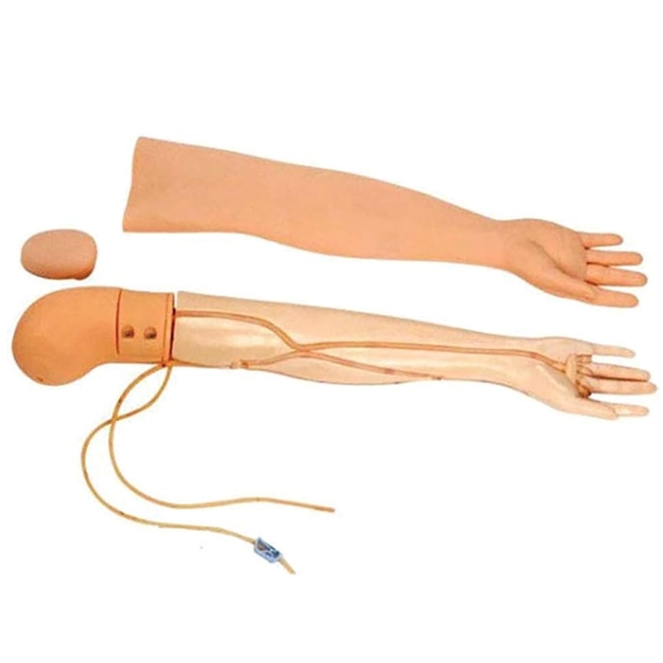 Mannequins for injection IV Arm