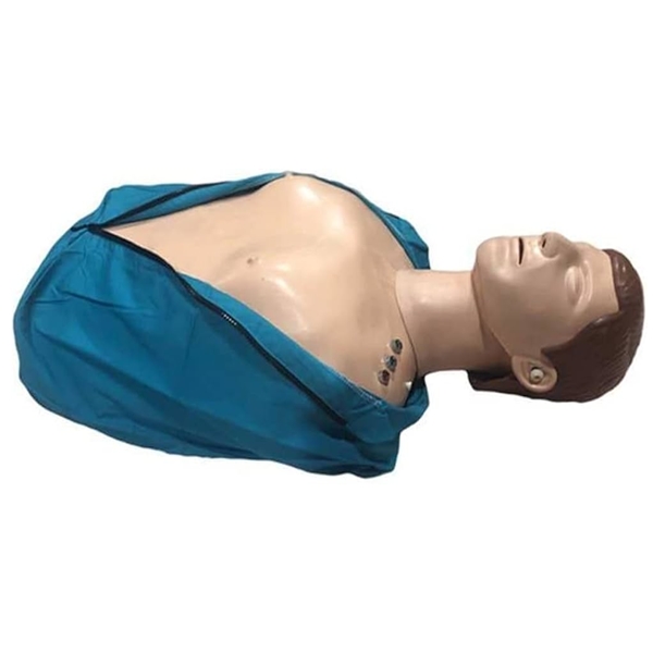 Mannequins For Cpr 1